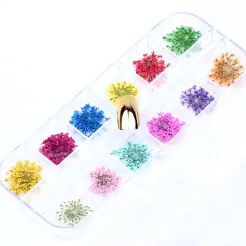 12 Farver, Mønstre, 3D Tørre Blomster Stickers Tørret Nail Art Dekoration DIY Manicure Værktøjer w/box