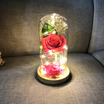LED String Lampe Lys USB-Genopladelige Steg Blomst Nat Lys med Glas Cover Bryllup Part Valentine ' s Gave til Pige