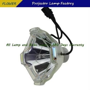 POA-LMP116 Høj Kvalitet Udskiftning Projektor Lampe Til SANYO PLC-XT35 / PLC-XT35L / PLC-ET30L med 180 dages garanti